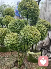 风卷着落叶扑在脸上，像极了那年夏天你转身的模样。我站在门外，从最初的歇斯底里，到后来的沉默不语。手指一遍遍抚过冰冷的门板，试图抠出一丝缝隙，哪怕能听见一句敷衍的回应也好。可门后始终静悄悄的，只有我自己的心跳，在空荡的巷子里敲出孤独的回响。