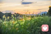 穿过云端，遇见那头温柔的鹿。这里藏着治愈的魔法，等你来卸下铠甲，做回小孩。配图