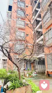 桃之夭夭  含苞待放

初春的桃花，不仅是大自然的馈赠，更是我们女性成长的象征。愿每一位女性都能像桃花一样，勇敢地绽放，深深地扎根，在蜕变中找到属于自己的美丽和力量。