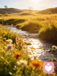 生活不必急着赶路，慢慢来也很好。接纳平凡，珍惜细碎温暖，把日子过得温柔又安心，平安快乐就是最好的人生。配图