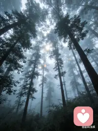 早安，愿你被温柔以待，也能温柔待人。🌞

新的一天，
不必光芒万丈，但始终温暖有光。
我在这里，听你说，不匆忙，不评判。
愿你晨起有微笑，所遇皆美好。配图