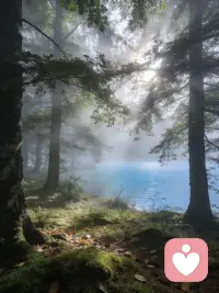 当你想说却无人可诉时，我愿意耐心倾听，接住你的疲惫与心事，温柔陪伴。配图