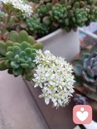 今天的我       
身边的朋友都说我是个恋爱脑，可是我就是觉得他（她）很好啊，他（她）很阳光，他（她）好帅气啊，他（她）的声音好好听，总喜欢对着我笑，我就想和他（她）在一起，一分一秒都不愿意分开，，配图