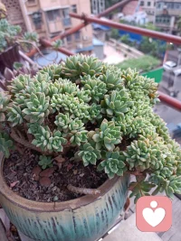 今天的我
生活已经够累了，如果爱不能给我力量，也给不了情绪价值，更谈不上陪伴与支撑，那它消耗我的意义是什么?相逢本该是彼此照亮，不然，一个人淋雨也浪漫，一个人吹风也清醒。配图