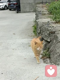 今天的我
我该怎么表达我现在的状态呢？很平静，但也很难过，平静是因为我终于接受了某些我无法改变的事实，而难过恰恰源于这份平静，我竟然也这样接受了，只是这一刻，我与我的难过就这样对视，谁也不说话。配图