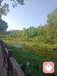 今天的我
人的心气是可以重新养回来的，与世隔绝般独处，按时起居，好好生活。以阅读丰盈思想，多去大自然充充电，以专注沉淀阅历，不听闲语，不受非议，慢慢活成内心富足之人。配图