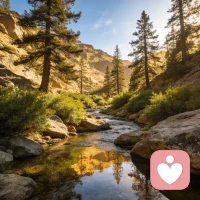 缓解心焦小技巧
 
情绪上头、心慌焦虑时，别硬扛，试试简单有效的4-7-8呼吸法：用鼻子安静吸气4秒，屏住呼吸7秒，再用嘴巴缓缓呼气8秒，重复三次，就能快速平复躁动。
 
这个方法能帮你打断负面情绪循环，让大脑慢慢冷静，找回稳定状态。不必强迫自己立刻好起来，先稳住呼吸，再慢慢整理心情，你已经在好好照顾自己了。
 
#情绪疏导 #自我接纳 #放松减压