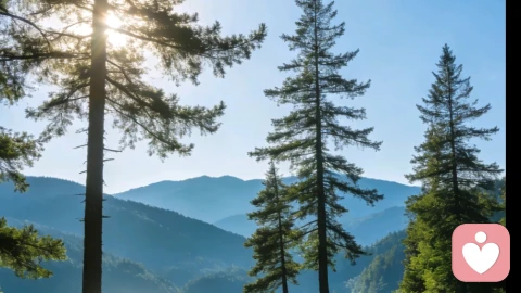 与自己和解向更好出发