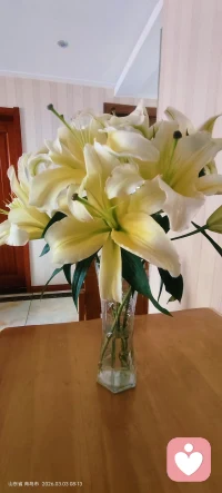 一位一直线下持证心理咨询师，第一次转线上！
- 澜金心舍，懂你悲欢，护你心安！配图