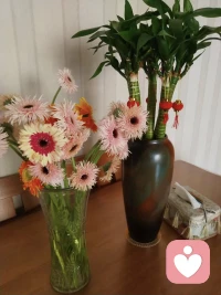 “把烦心事都丢掉，腾出地方来装鲜花”！晚安🌙
​配图