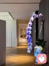 单纯和没有边界真的是两码事…配图