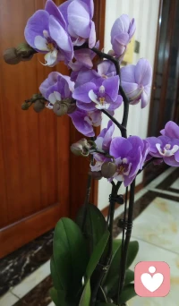 爱并尊重自己的父母 ，抑郁也会随之消失！配图