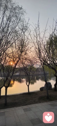 生活再难，也请相信：总有力量护着你！🌻