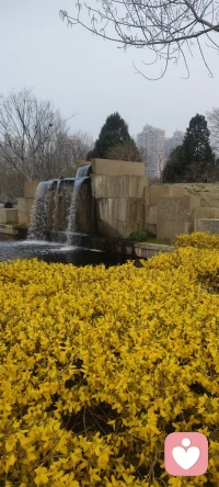 《不介入别人的因果》
“烂泥趴得好好的，你非要给它扶上墙。
咸鱼躺得好好的，你非要给它翻个身。
朽木活得好好的，你非要把它雕成才。
究竟是他有执念，还是你有执念？”🍵🍵