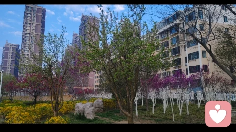 剑拔弩张情绪下的夫妻相处之道