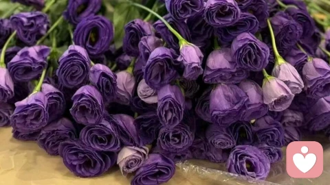 二婚家庭幸福秘籍