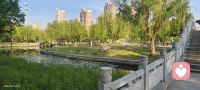 沐浴着温暖的阳光，吹着徐徐而来的清风，此刻人生是如此美好！早上好呀！☀️(｡◠‿◠｡)配图