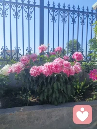 试着把每天的压力写下来，然后把纸撕碎扔掉。这是一种释放负面情绪的好方法。