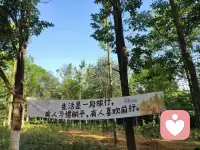 首先你要快乐其次是其次
等风来不如去有风的地方
