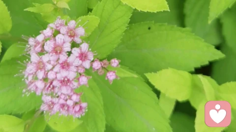 面对中学生厌学，我们怎么办？