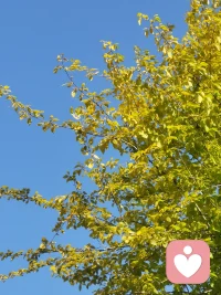  早安，带着善意出发，不焦虑、不内耗，所有美好，都在赶来的路上✨愿我们都能心中有爱，眼里有光，未来都会越来越好。