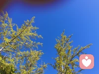 就算世界以痛吻我，我们也要向孩子一样，向他们学习，事情过去就算了，绝不纠缠内耗，反刍。不再往心里去，大步向前走。配图