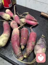这些都是我昨天闲逛在路边捡来的菜。
换季了，本地人要种新的菜，所以把这些都拔下来放路边。
车来车往很多，我还是捡了，不偷不抢的，妹什么可丢人的。😊😊😊配图