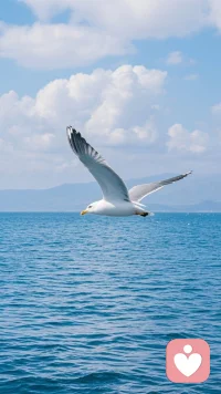 很多时候，我们需要的不是道理，而是一个愿意认真听我们说话的人，我在这里，陪你梳理情绪，安放心事，让每一份情绪都被接住