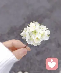 你不需要一直阳光，一直正能量，一直无坚不摧。我在这里，做一个安安静静的倾听者。不打断，不评判，不敷衍。你说，我听；你哭，我陪；你累了，我等你缓一缓。配图