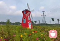 不必非要光芒万丈，做株安静生长的草木也很好，在自己的节奏里扎根、开花，风来不惧，雨落不惊。配图