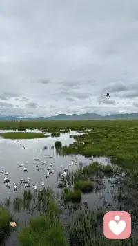 你今天的努力，是幸运的伏笔；当下的付出，是明日的花开。配图