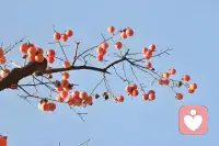 耳朵是树洞，心是港湾，愿我的倾听，能成为你情绪的解药✨

不评判、不催促，只安静接住你的所有情绪，陪你走过难捱的时刻

世界很吵，我这里很静，你可以放心说说心里话配图