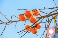 你的任何情绪我都能接受！理解！配图