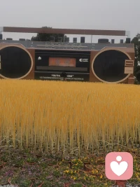 世界很吵，我愿意做那个安静听你说话的人。配图