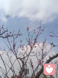 我们不可忽而自尊心强，忽而自卑心强，忽而洋洋得意，忽而怨天尤人。所有问题，都在我们的自身。情绪和心态稳定，永远是第一基础。