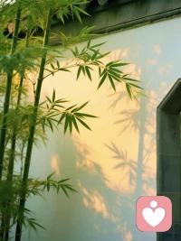 上午该做的第一件事是什么？打扫房间。《朱子家训》开篇第一句便是“黎明即起，洒扫庭除”。一天之际在于晨，治家修身应从清晨开始，从打扫自己的家开始。家里井井有条，一尘不染，代表着一家人一天的好心情、好运气。所以，家里乱七八糟，家庭往往多吵架拌嘴等拂心事，家人亦多心浮气躁，心不得定配图