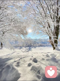 人性的体现，不是在顺境中展现，而是在逆境里张扬。所以，饭局里面多是酒肉朋友。而身处逆境时，才是见品格，见真章的大坎儿，也是人性最赤裸裸的呈现时刻。所以孔子说啊，“岁寒，然后知松柏之后凋也。”交朋友，考察朋友，必须要经历一个严寒，这时候真面目就都展露无遗了。所以，顺境无朋友。配图