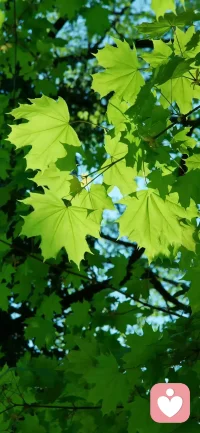 马太效应：有的给你更多，没有的把你有的也拿走。守是守不住的。配图