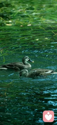 人要多仰望星空，才能知道我们是多么卑微和无趣。见天地，就是要涵养自己的浩然之气。不要天天叽叽歪歪，陈谷子烂芝麻的车轱辘话反复墨迹。