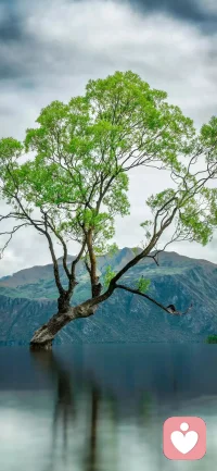 真正的自信恰恰相反：一个人越能坦然地欣赏他人，越说明他有稳固的自我评价体系，不因别人的光芒而黯淡自己。从“瞧不起”到“看得见”，隔着的其实是一个人对自己真实处境的接纳程度。配图