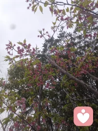 生年不满百，常怀千岁忧。
昼短苦夜长，何不秉烛游！
总共就这么点人生，还用来自我消耗。累吗？配图