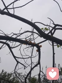 生年不满百，常怀千岁忧。
昼短苦夜长，何不秉烛游！
总共就这么点人生，还用来自我消耗。累吗？配图