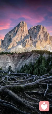 所谓肝胆相照，是先把自己的真心拿出来，别人才会和你相濡以沫。所有玩机巧的人，在赤子面前都是傻子。配图