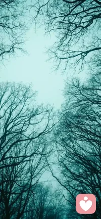 起心动念之后请留出一段时间仔细观察一下身边的人。正念引来善人，邪念引来不善人，机巧引来狡诈人，简单引来真诚人。因此，不要责备外在，一切在自心。配图