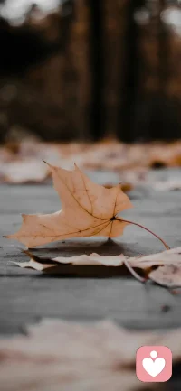 纠结于现在和过去，只因未见生命之无常。假如明天就离开这个世界，今天你还痛苦什么？白日放歌须纵酒，青春作伴好还乡。别错过你的现在，因为未来谁都不知道。过好当下，不给自己留遗憾。配图