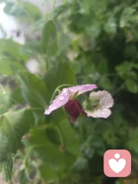 仪式感不是用金钱和物质来满足虚荣的灵魂，而是源自生命内心的欢喜，是对自然和生活的挚爱。配图