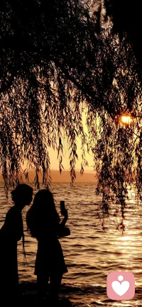 怀疑，是人性最大的癌症。它可以吞噬一切善良，一切爱，一切慈悲，一切机会。患有怀疑症的同学，会把自己封闭起来，任凭外界如何呼喊，也换不回那颗敞亮通透的心。这就是契诃夫小说中描述的装在套子里的人。配图