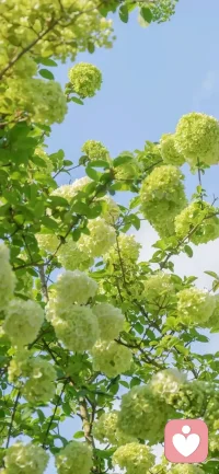 有多少人
深陷在这种痛苦之中然后进而自我怀疑自我否定
没成功就是我不好就是我水平低就是我水平不行
当然我们反思自己是有必要的
你要反思自己你是不是站在人间的大道上
你行的是不是正道你是不是在那搞一些歪门邪道
如果你行大道走正道，也没有实现人生价值的话
你应该坦坦荡荡
你应该光明磊落
你应该笑对苍天
你应该笑对你身边所有的人🌹🌹🌹配图