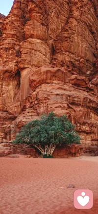 人烦闷至极的时候，要么去运动跑步，要么自己去无人的花园角落走一走，拍上几张照片。那些治愈灵魂的力量，其实就在身边。只是我们蒙蔽了双眼，视而不见。精神上出现问题的人，都有两个共同特点：第一，不读圣贤书；第二，没有爱好。这二者只要具备一个，也足以能够支撑你度过寒冷的冬日。配图