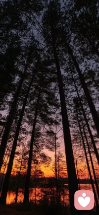 书籍能够把你带到很远的地方，书籍能够打开你的心胸，书籍能够拓宽你的眼界，书籍能够提高你的境界配图